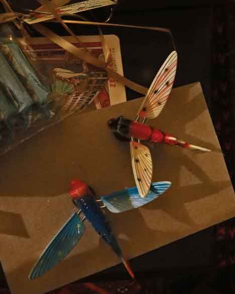  “Two Dragonflies” still life photography ©2013 Maria Sky, All Rights Reserved<br><p>A still life photo of two magnet dragonflies sitting amongst other items on the coffee table.
