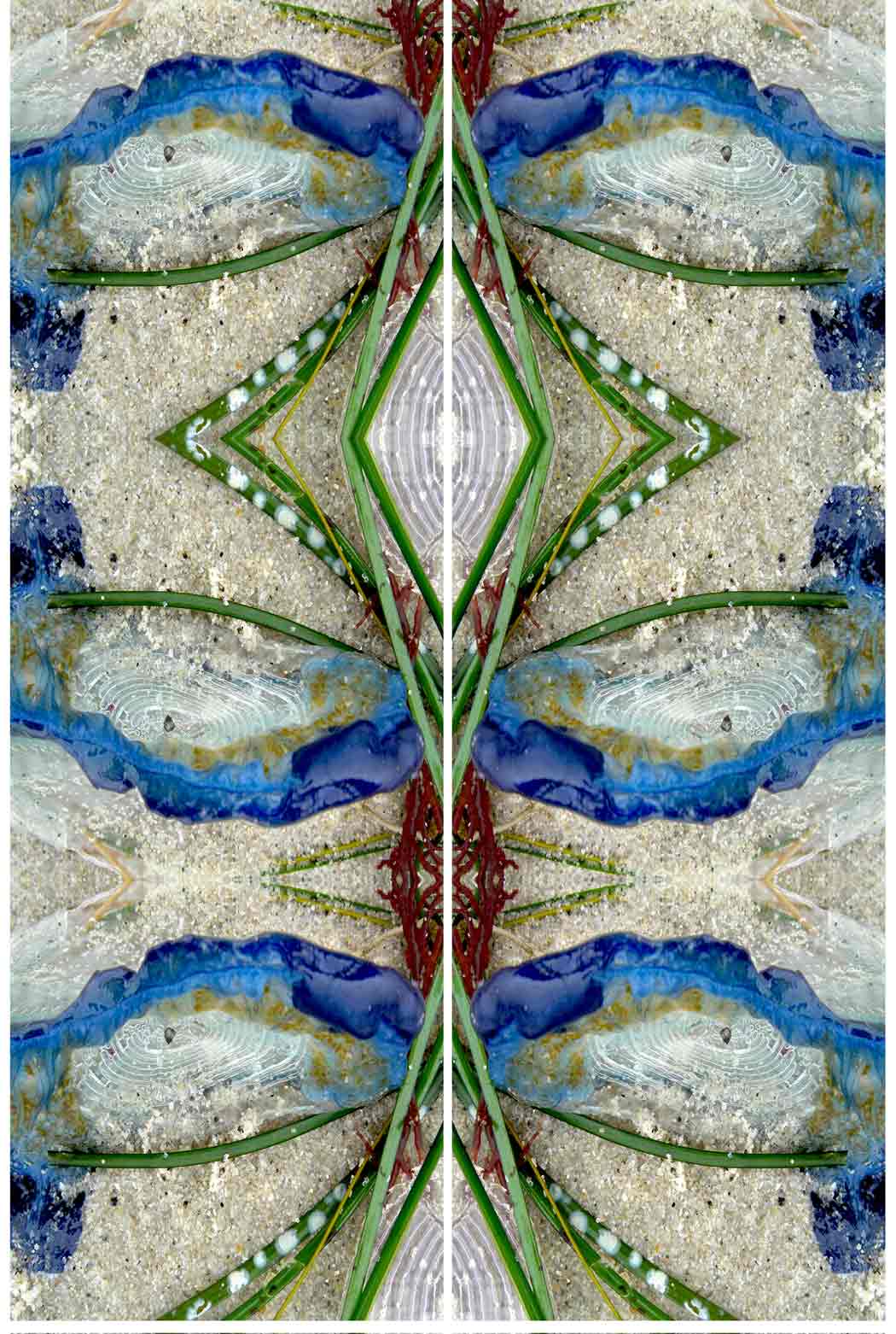  “Window”16x20 in., acrylic - ©2014 Maria Sky, All Rights Reserved  <p><em>Mirror image of seaweed</em><p>After photographing various seaweed, the photo was manipulated and mirrored to give this effect. The above photo is a closeup of the actual work.</p>