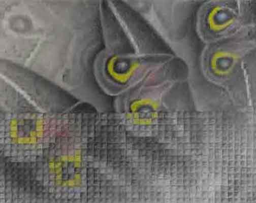  &ldquo;Escaping Virtual Reality&rdquo;16 x 20 inches, Pencil - 9H to 6B &copy;2018 Maria Sky, All Rights Reserved. <p>A pencil drawing of a moth found in New Mexico. The bottom half of the drawing is &ldquo;pixelated&rdquo; depicting of how &ldquo;virtual reality&rdquo; and &ldquo;reality&rdquo; are blending into our perceived daily &ldquo;reality&rdquo;. The question now is: &ldquo;Is what we see on the internet, is it real or created by algorithms?&rdquo;</p>