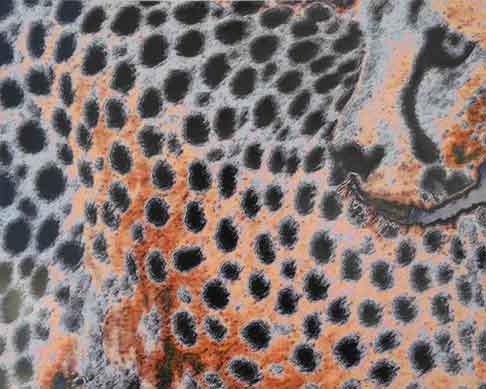  &ldquo;Cheetahs&rdquo; altered photo &copy;2017 Maria Sky, All Rights Reserved - Close up of cheetah</p>