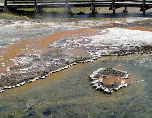  &ldquo;Hot Spot&rdquo; landscape &copy;2013 Maria Sky, All Rights Reserved<br><p>Trees at Yellowstone reflected in the toxic waters