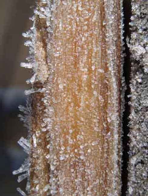  &ldquo;Ice Crystals&rdquo; landscape/nature &copy;2013 Maria Sky, All Rights Reserved<br><p>Tiny ice crystals formed on a balcony in Steamboat, Colorado