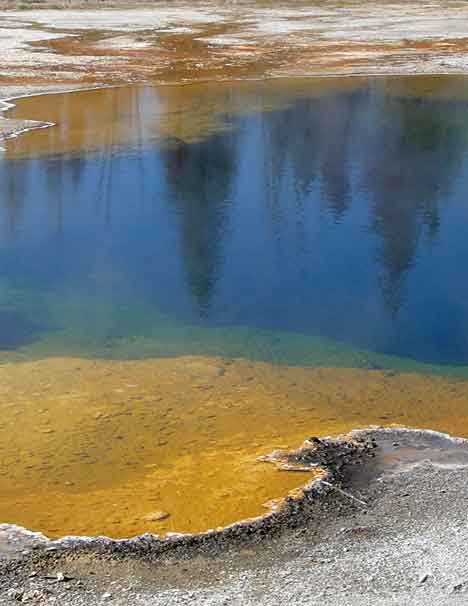  &ldquo;The Lake of Reflections&rdquo; landscape &copy;2013 Maria Sky, All Rights Reserved<br><p>Trees at Yellowstone reflected in the toxic waters