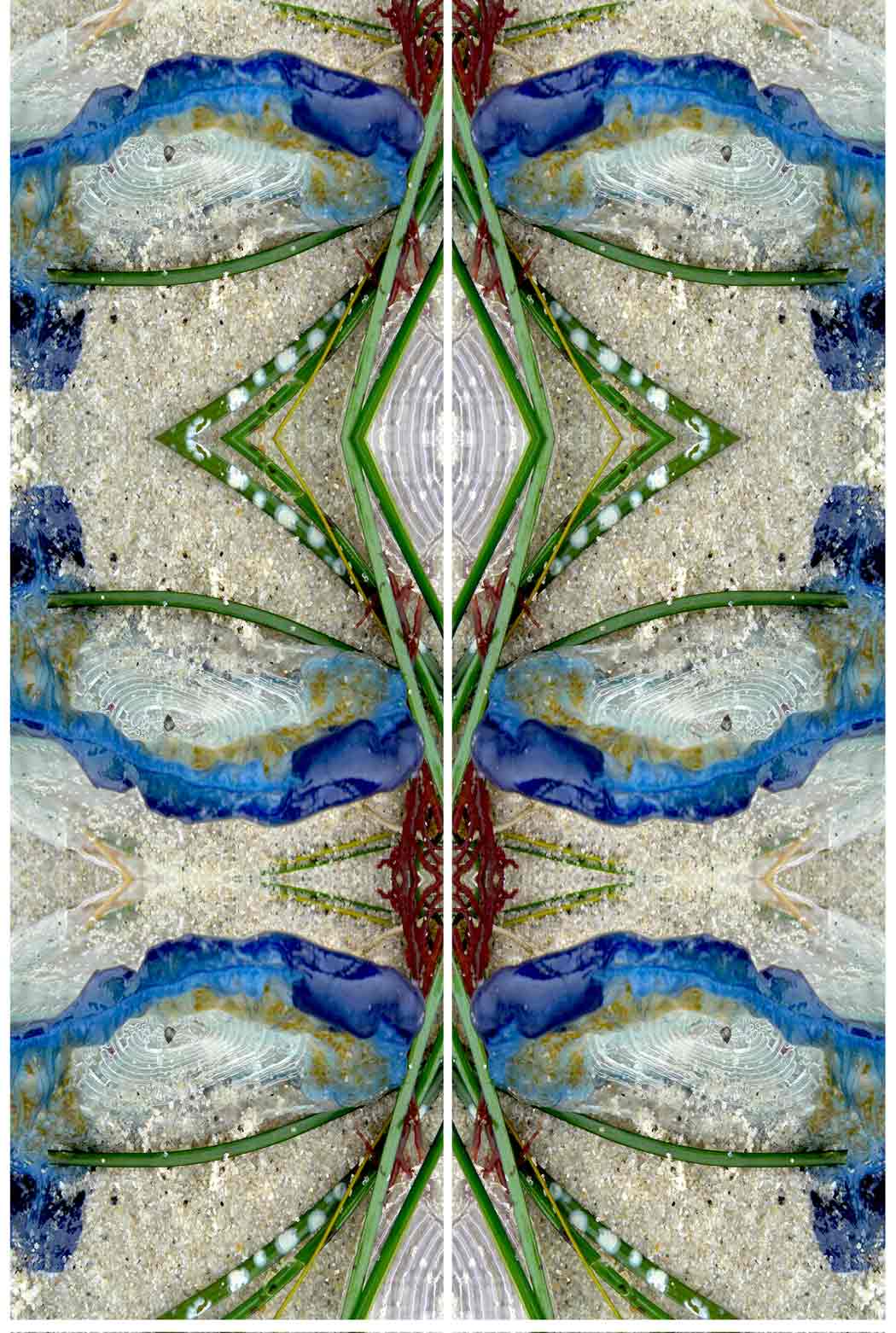 &ldquo;Window&rdquo;16x20 in., acrylic - &copy;2014 Maria Sky, All Rights Reserved  <p><em>Mirror image of seaweed</em><p>After photographing various seaweed, the photo was manipulated and mirrored to give this effect. The above photo is a closeup of the actual work.</p>