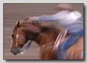 &ldquo;Must Ride Rast&rdquo; 11 x 14 inches, pastels - &copy;2017 Maria Sky, All Rights Reserved <p>Based on a photo I took at the July 4th Rodeo in Steamboat Springs, Colorado 