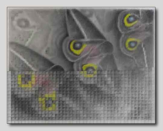  &ldquo;Escaping Virtual Reality&rdquo;16 x 20 inches, Pencil - 9H to 6B &copy;2018 Maria Sky, All Rights Reserved. A pencil drawing of a moth found in New Mexico. The bottom half of the drawing is &ldquo;pixelated&rdquo; depicting of how &ldquo;virtual reality&rdquo; and &ldquo;reality&rdquo; are blending into our perceived daily &ldquo;reality&rdquo;.The question now is: &ldquo;Is what we see on the internet, is it real or created by algorithms?&rdquo;</p>Pacifica Art Guild 2018  Sanchez Art Center, Pacific, CA</p>