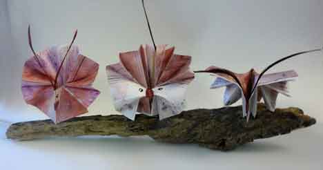 Accordian folded books