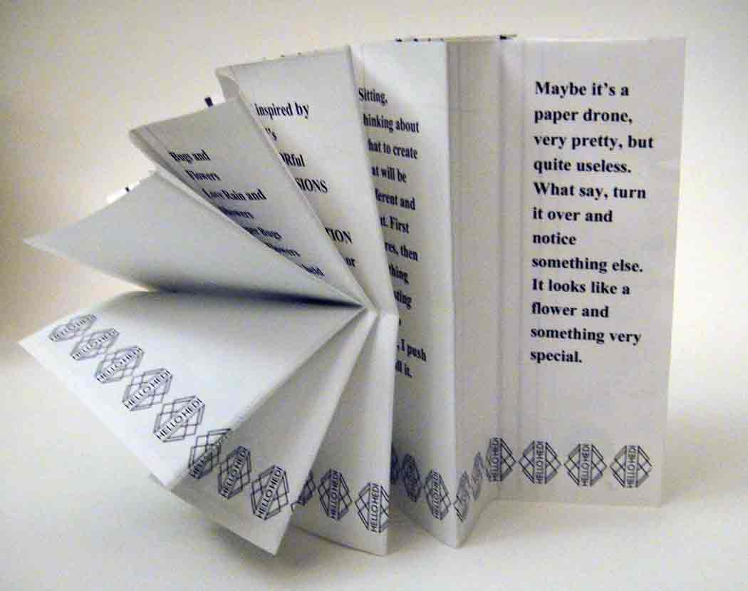  &ldquo;Three Bugs Book&rdquo; 20 x 16 inches, mixed media - &copy;2018 Maria Sky, All Rights Reserved <p>A view of an opened Three Bugs Book.</p>