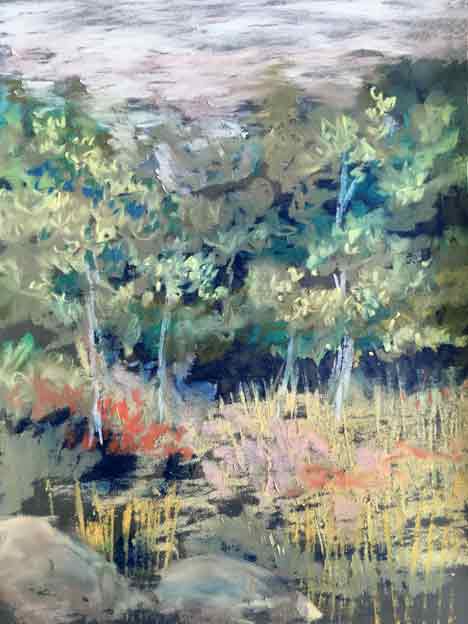  &ldquo;Meadow&rdquo; 11 x 14 inches, chalk pastel &copy;2019 All Rights Reserved 