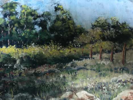  &ldquo;Simply a Wooden Fence&rdquo; 11 x 14 inches, chalk pastel &copy;2019 All Rights Reserved 