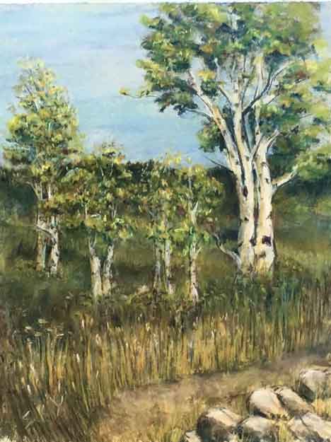  &ldquo;Aspen Trees&rdquo; 11 x 14 inches, chalk pastels &copy;2019 All Rights Reserved <p>Plein Air pastel drawing, Steamboat Spring, Colorado.<p/><p>Steamboat Museum Plein Air Event 2019</p>